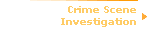 Crime Scene      
 Investigation